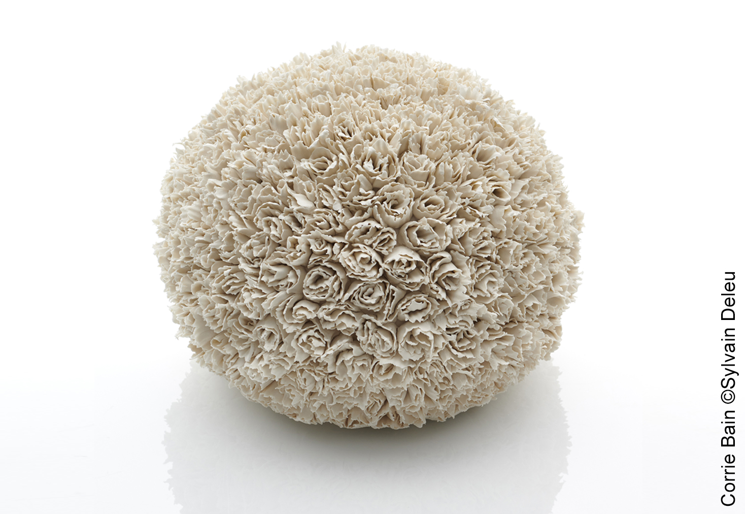 ANETO Corrie Bain (Sylvain Deleu)